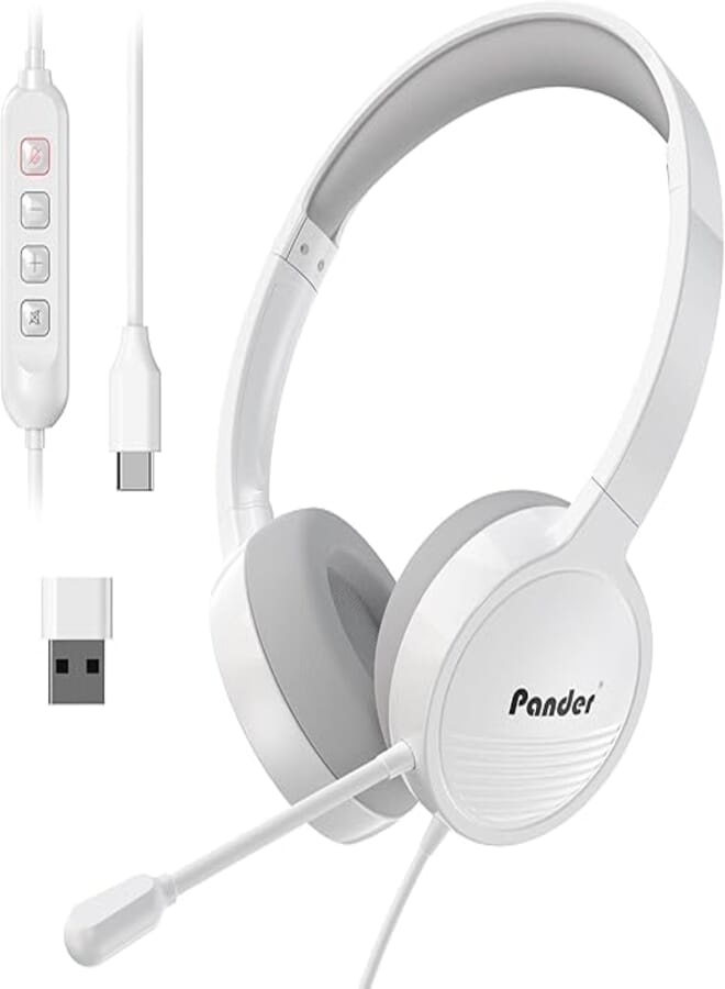 Pander - Noise cancelling headset with microphone, usb for work, office and online class